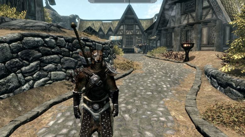 Skyrim
